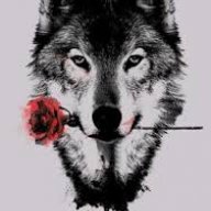 Wolf JR