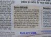 Ludaci.jpg