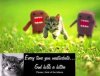 God-kills-kitten.jpg