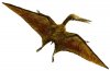 pterodaktil.jpg