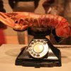 Telefon-Dali.jpg Telefon-Dali.jpg