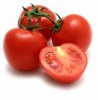 paradajz.jpg