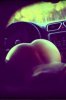 159931_seks2_if.jpg 159931_seks2_if.jpg