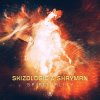 Skizologic & Shayman - Spirituality.jpg
