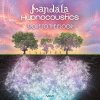 Mandala & Hypnocoustics - Spore To The Floor.jpg