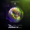 Flegma - Chrysalis (Reborn Remix).jpg Flegma - Chrysalis (Reborn Remix).jpg