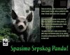 srpski panda.jpg