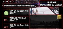 Screenshot_20250807_114742_Ultimate IPTV Playlist Loader.jpg