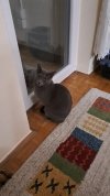 IMG-20251023-WA0000.jpeg