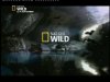 natgeowild-fr.jpg