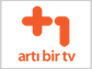 artibirtv.png