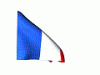 France_22-animated-flag-gifs.gif