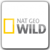Nat Geo WILD v.1.png
