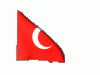 Turkeywavingflag.gif