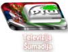 Televizija Sumadija.png