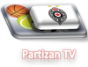 Partizan TV.png