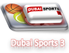 Dubai Sports 3.png