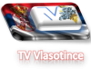 TV Vlasotince.png