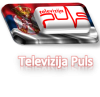 Televizija Puls.png