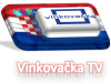 Vinkovacka TV.png