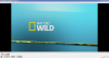 2014-06-27 23_30_56-Nat Geo Wild HD - VLC медија плејер.png