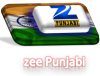 zee Punjabi.png