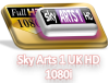 Sky Arts 1 UK HD 1080i.png