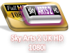 Sky Arts 2 UK HD 1080i.png