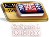Sky Sports 1 HD 1080i.png