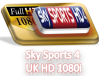 Sky Sports 4 HD 1080i.png