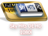 Sky Hits DE HD 1080i.png