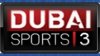 dubai sport 3.jpg