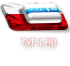 TVP 1 HD.png