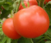 upload_2015-5-1_6-15-11.png
