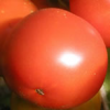 upload_2015-5-1_6-36-33.png