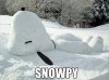 Snowpy.jpg