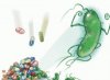 antibiotics.jpg