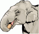 Elephantt