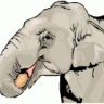 Elephantt